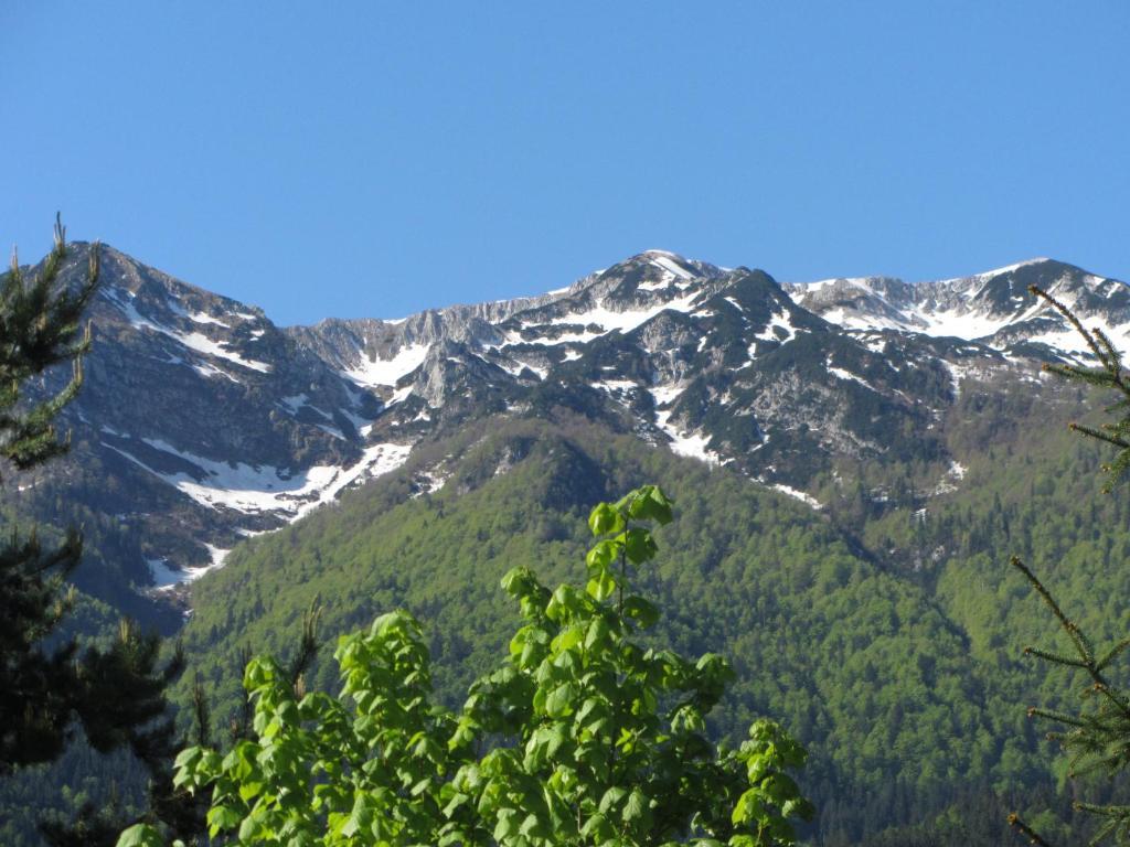 Apartments Arh Bohinj Bagian luar foto